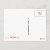 Nine-Banded Armadillo Briefkaart (Achterkant)