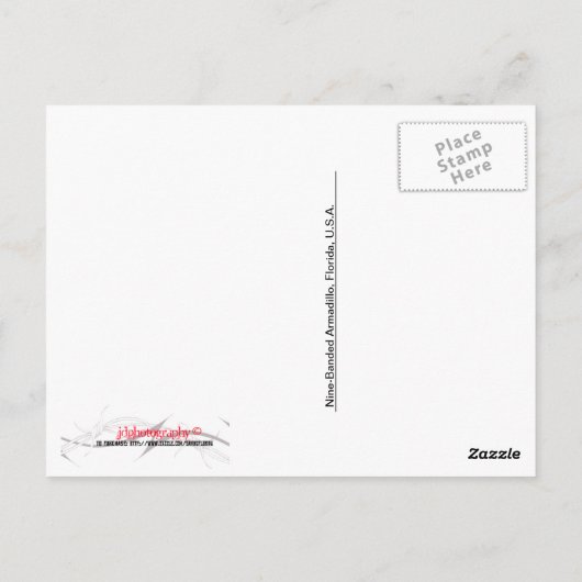 Nine-Banded Armadillo Briefkaart (Achterkant)