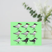Nine Birdorable Terns (geëtiketteerd) Briefkaart (Staand voorkant)