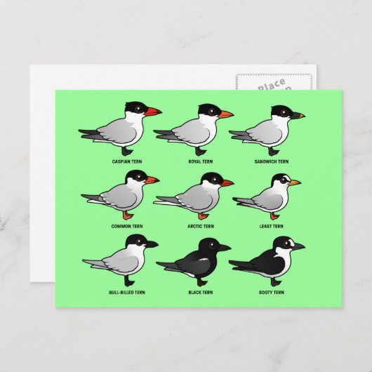 Nine Birdorable Terns (geëtiketteerd) Briefkaart (Voorkant / Achterkant)