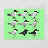 Nine Birdorable Terns (geëtiketteerd) Briefkaart (Voorkant)