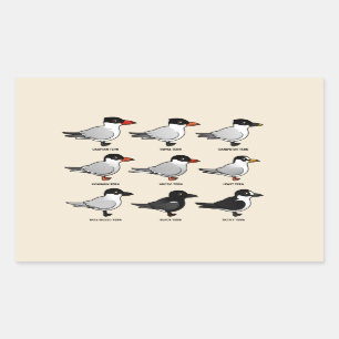 Nine Birdorable Terns (geëtiketteerd) Rechthoekige Sticker