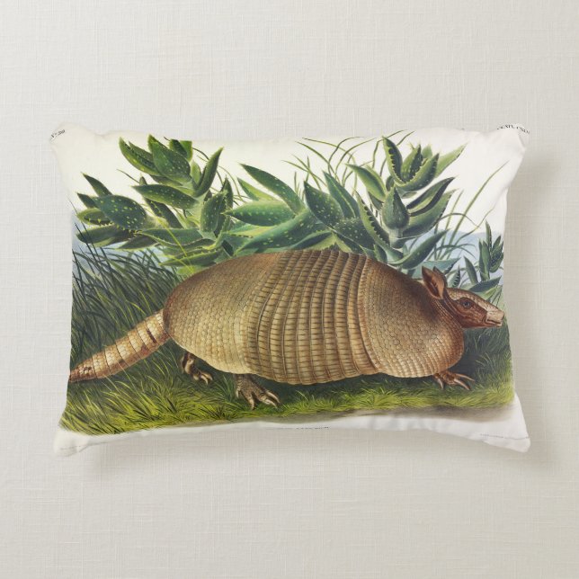 Nine-Buurt, langwerpige Armadillo van Audubon Accent Kussen (Voorkant)