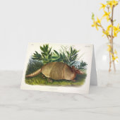 Nine-Buurt, langwerpige Armadillo van Audubon Kaart (Gele Bloem)