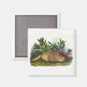 Nine-Buurt, langwerpige Armadillo van Audubon Magneet (Voorkant / Achterkant)