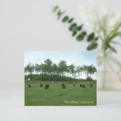 Nine Dames Stone Circle, Engeland, Ancient Brittan Briefkaart (Staand voorkant)