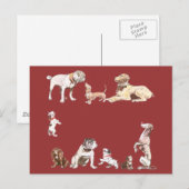 Nine Dogs Briefkaart (Voorkant / Achterkant)