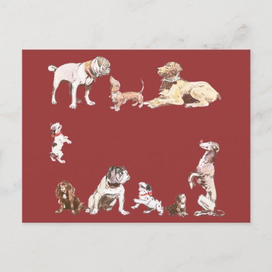 Nine Dogs Briefkaart (Voorkant)