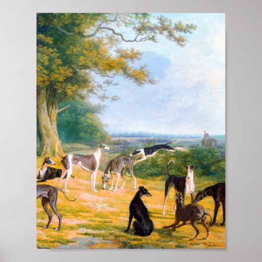 Nine Greyhounds in een landschap door Jacques-Laur Poster (Voorkant)