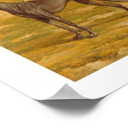 Nine Greyhounds in een Landschap (olie op canvas) Poster (Hoek)