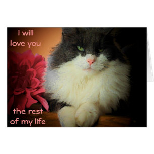 Nine Lives Love Commitment