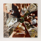 Nine Meerkat Triangles, Jigzaag Puzzle Legpuzzel (Horizontaal)