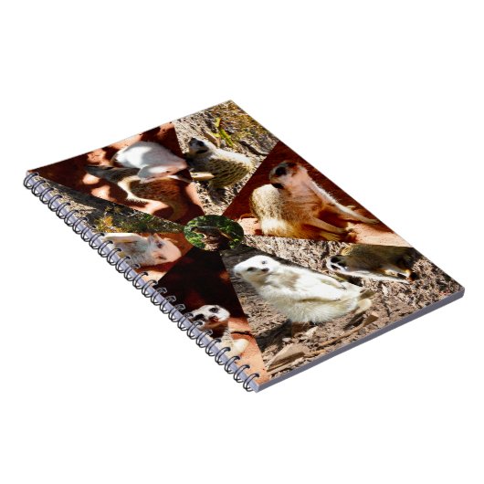 Nine Meerkat Triangles, Notitieboek (Rechterzijde)