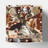 Nine Meerkat Triangles, Party Favor Box Bedankdoosjes (Bovenkant)