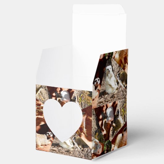 Nine Meerkat Triangles, Party Favor Box Bedankdoosjes (Geopend)