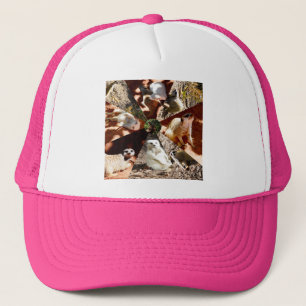Nine Meerkat Triangles, Pet van truckers