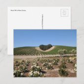 Niner Estates Heart Hill en White Roses Briefkaart (Voorkant / Achterkant)