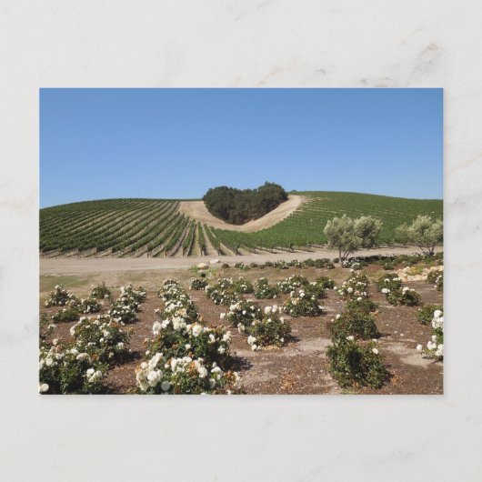 Niner Estates Heart Hill en White Roses Briefkaart (Voorkant)