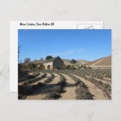 Niner Estates, Paso Robles, CA Event Center Briefkaart (Voorkant / Achterkant)