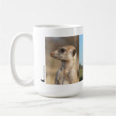 Ningaloo Meerkat Mok (Links)