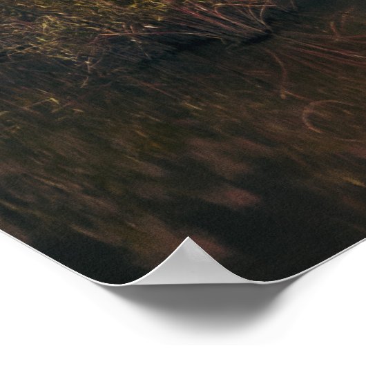 NINH BINH, RED RIVER DELTA, VIETNAM POSTER (Hoek)