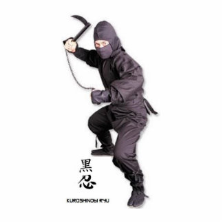 ninja-aansluiting, beeldhouwwerk staand fotobeeldje 
