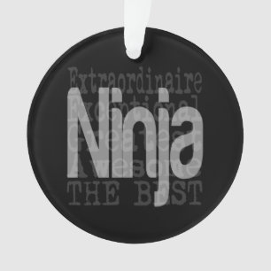 Ninja Extraordinaire Ornament
