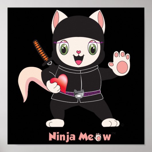 Ninja MEOW™ Poster (Voorkant)