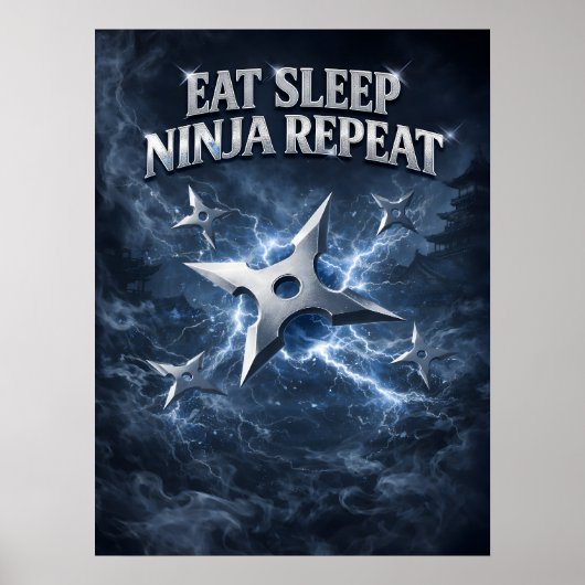 Ninja Schaduw Ijs Staking Poster (Voorkant)