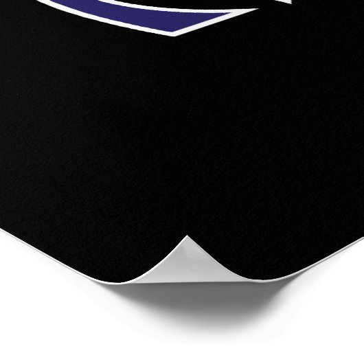 Ninja Squirrel Poster (Hoek)