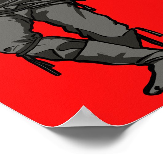 Ninja Warrior Poster (Hoek)