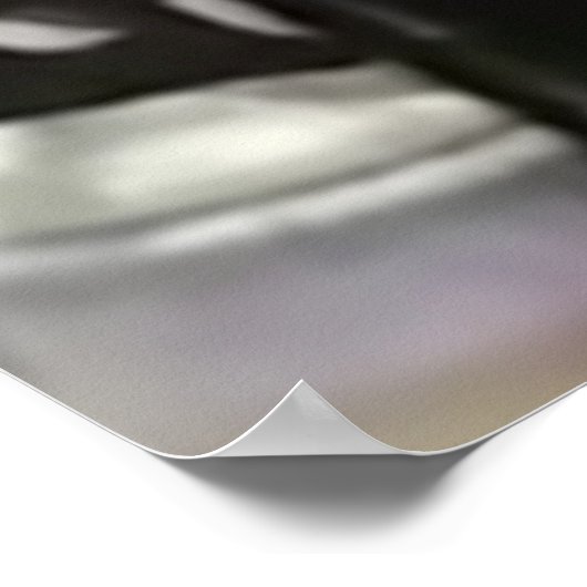 Ninjagobabe2001 Poster (Hoek)