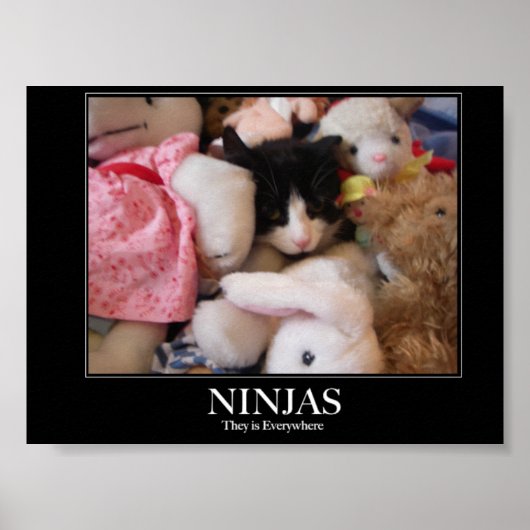 Ninjas - Ze zijn overal Poster (Voorkant)