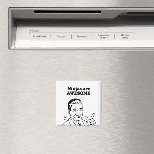 NINJA'S ZIJN GEWELDIGE MAGNEET (Insitu (Vaatwasser))