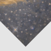 niño con zorro tissuepapier (Detail)