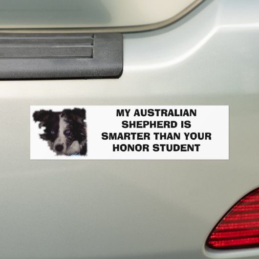 Niobe CO, MIJN AUSTRALIAANSE SCHEPERD IS KLEINER D Bumpersticker (Op auto)