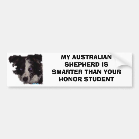 Niobe CO, mijn Australische herder is slimmer dan. Bumpersticker (Voorkant)