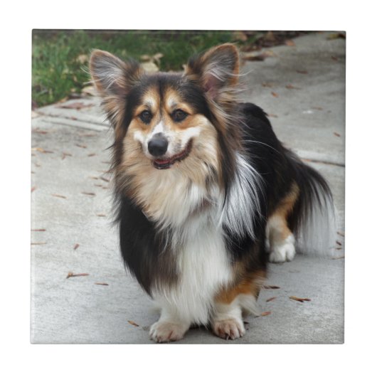 Nipsey Tegeltje (Voorkant)