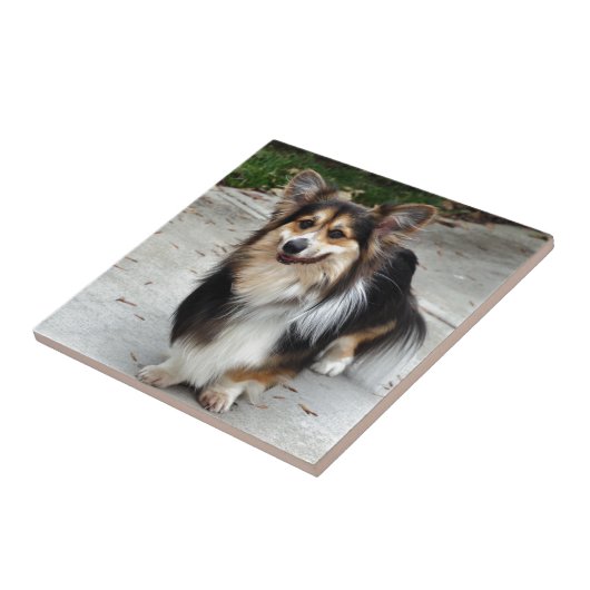 Nipsey Tegeltje (Zijkant)