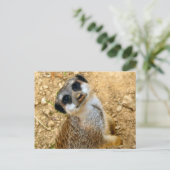 Niro-Erdmännchen Briefkaart (Staand voorkant)
