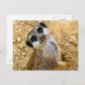 Niro-Erdmännchen Briefkaart (Voorkant / Achterkant)