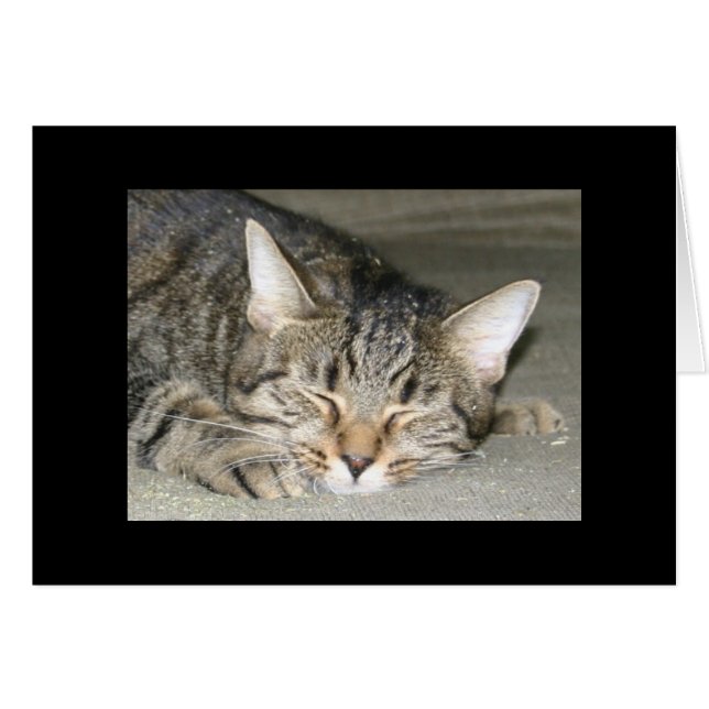 Nirvana (Voorkant Horizontaal)