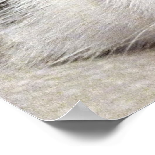 Nirvana Cat Poster (Hoek)