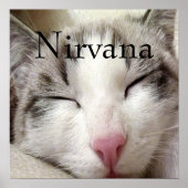 Nirvana Cat Poster (Voorkant)