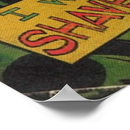 Nirvana Floyd de Barber Andy Griffith Parody Com Poster (Hoek)