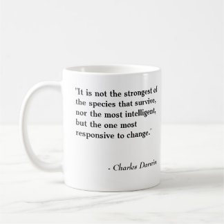 Nirvana Nugget - Mok Sjabloon lang