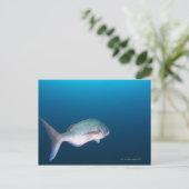 Nishiizumachi, Shizuoka Prefecture, Japan Briefkaart (Staand voorkant)