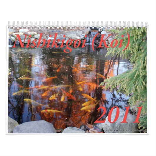 Nishikigoi (Koi) Agenda 2011 Kalender (Hoes)