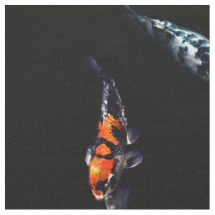 Nishikigoi Koi Coloration Fishes Stof