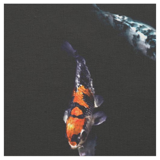 Nishikigoi Koi Coloration Fishes Stof (Close Up)